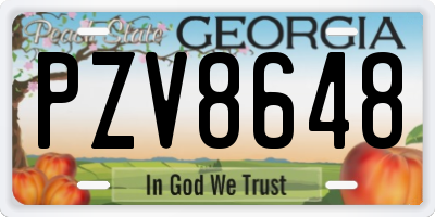GA license plate PZV8648