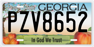 GA license plate PZV8652