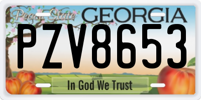 GA license plate PZV8653