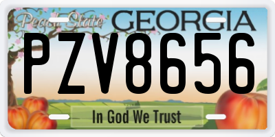 GA license plate PZV8656