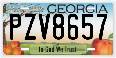 GA license plate PZV8657