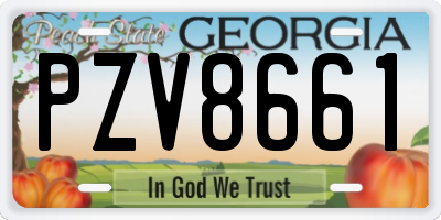 GA license plate PZV8661