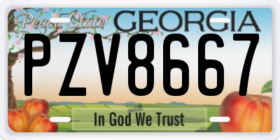 GA license plate PZV8667