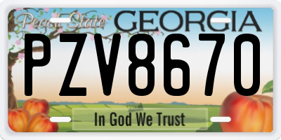 GA license plate PZV8670