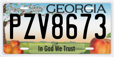 GA license plate PZV8673