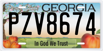 GA license plate PZV8674