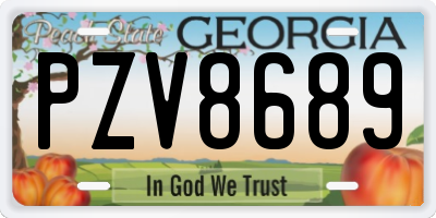 GA license plate PZV8689