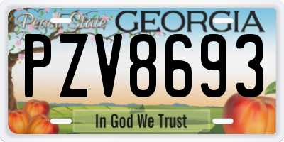 GA license plate PZV8693