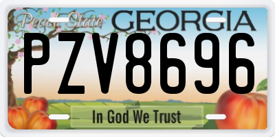 GA license plate PZV8696
