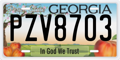 GA license plate PZV8703