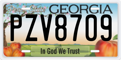 GA license plate PZV8709