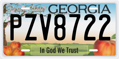 GA license plate PZV8722