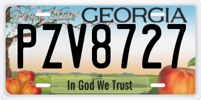 GA license plate PZV8727