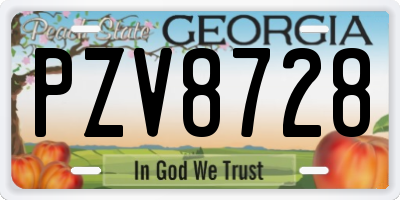 GA license plate PZV8728
