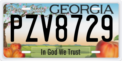 GA license plate PZV8729