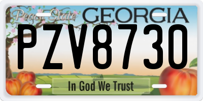 GA license plate PZV8730