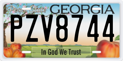 GA license plate PZV8744