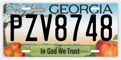 GA license plate PZV8748