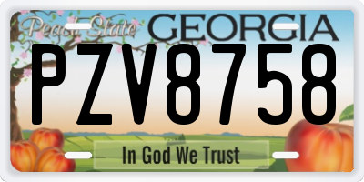 GA license plate PZV8758