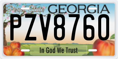 GA license plate PZV8760