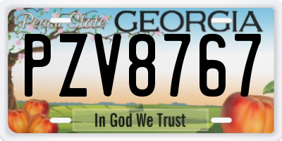 GA license plate PZV8767