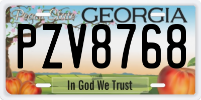 GA license plate PZV8768