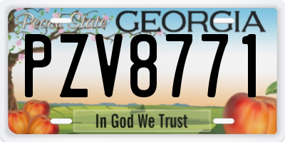 GA license plate PZV8771