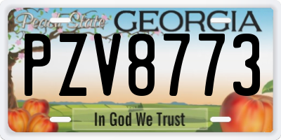 GA license plate PZV8773