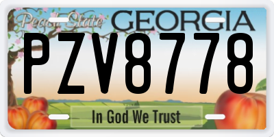 GA license plate PZV8778