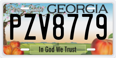 GA license plate PZV8779