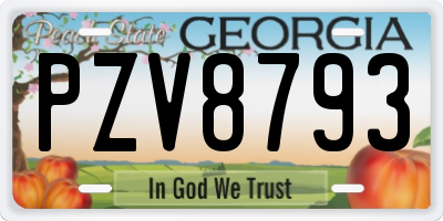 GA license plate PZV8793