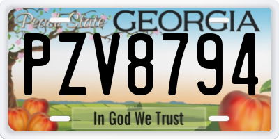 GA license plate PZV8794