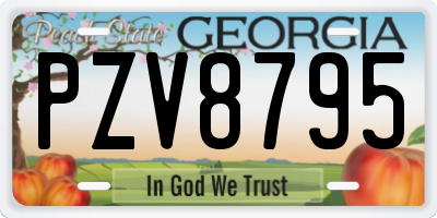GA license plate PZV8795