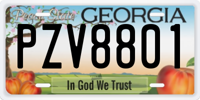 GA license plate PZV8801
