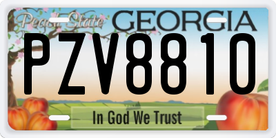 GA license plate PZV8810
