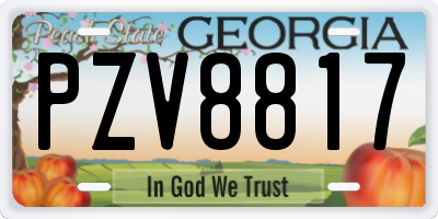 GA license plate PZV8817