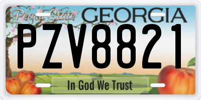 GA license plate PZV8821