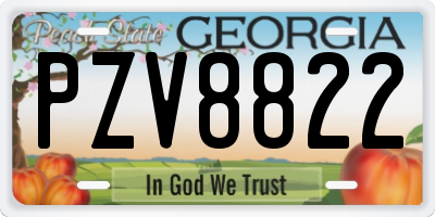 GA license plate PZV8822