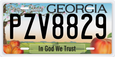 GA license plate PZV8829