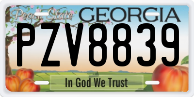 GA license plate PZV8839