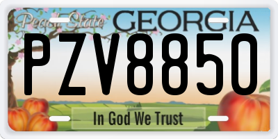 GA license plate PZV8850