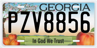 GA license plate PZV8856