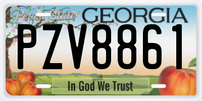 GA license plate PZV8861