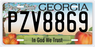 GA license plate PZV8869