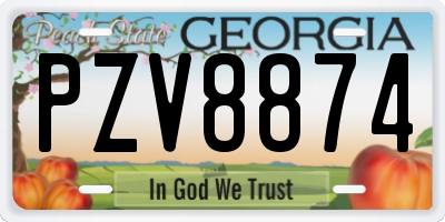 GA license plate PZV8874