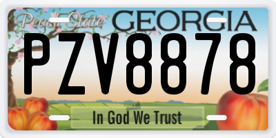 GA license plate PZV8878