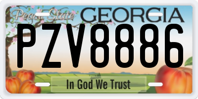 GA license plate PZV8886