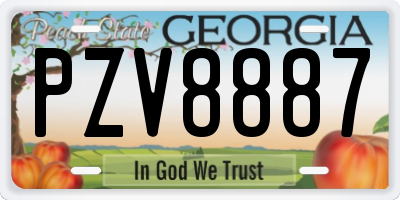 GA license plate PZV8887