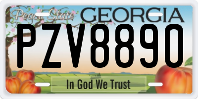 GA license plate PZV8890