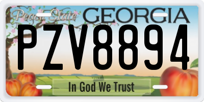 GA license plate PZV8894